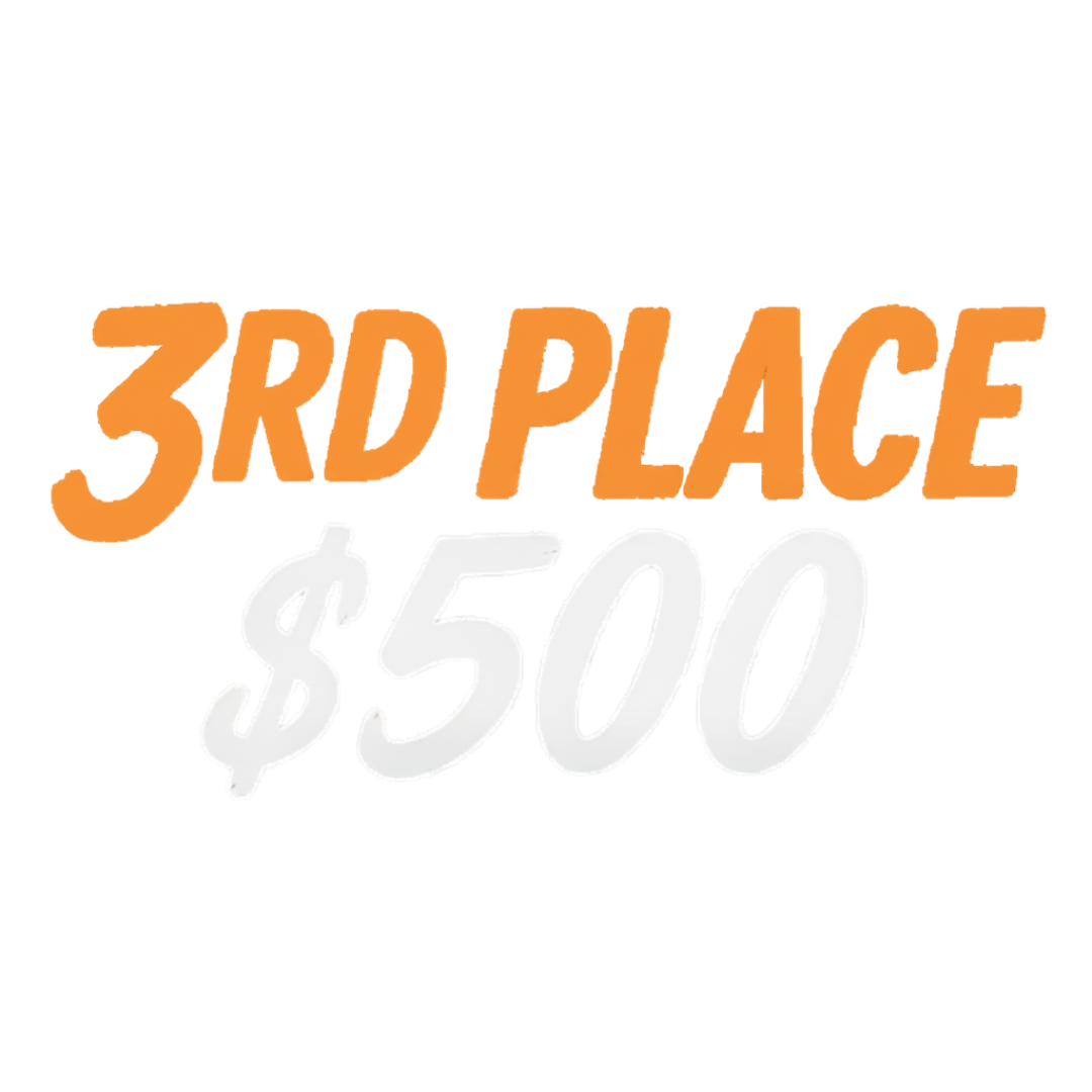 3rd place, $500
